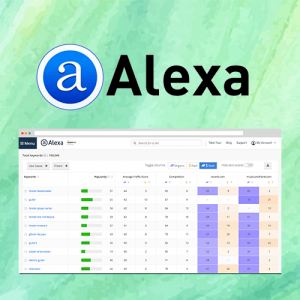 Al*xa网站排名查询，竞争对手对比分析，SEO优化工具